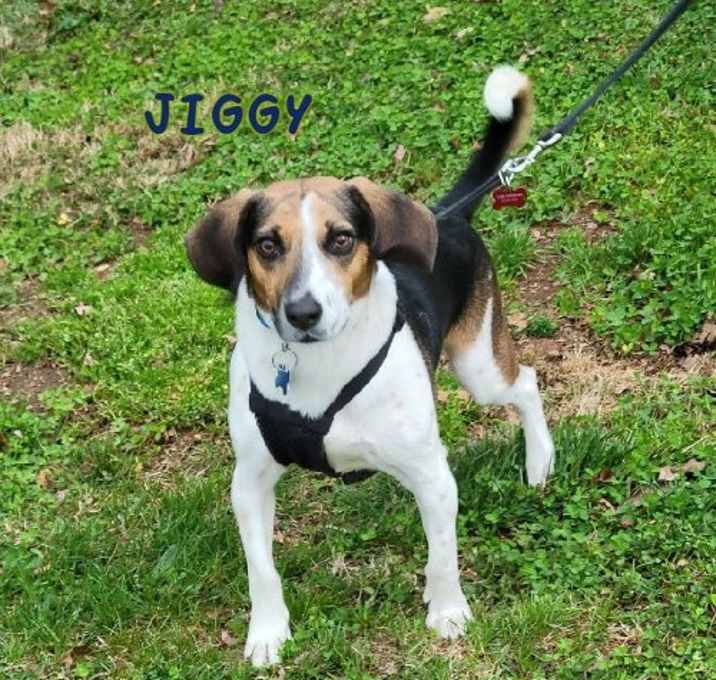 Photo of Jiggy