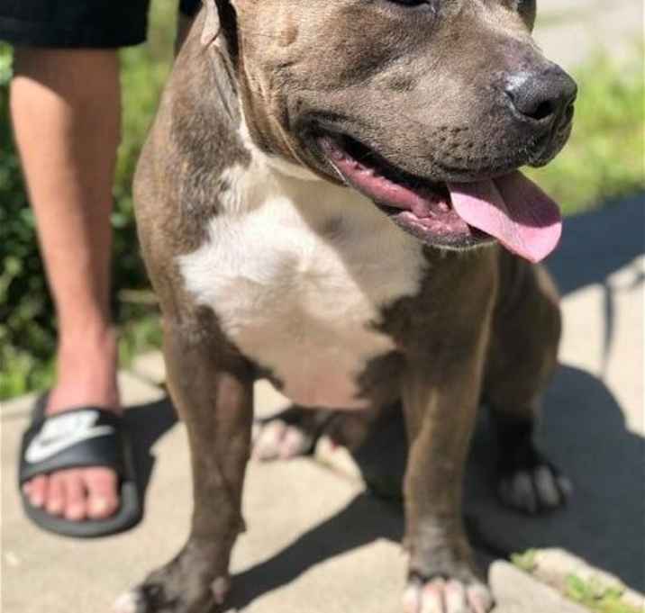 Photo of Jax
