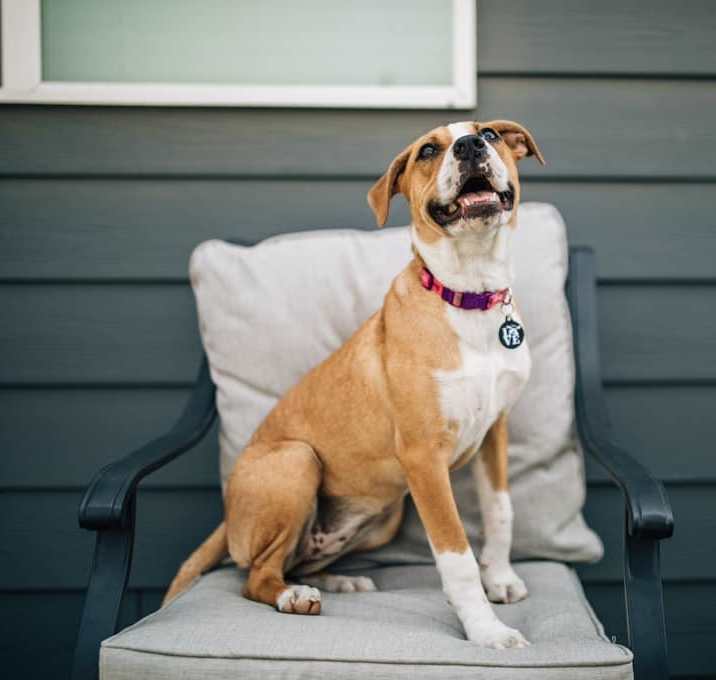 Photo of Raindrop