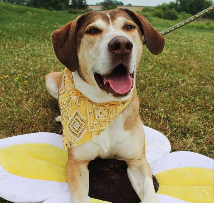 Photo of Oliver