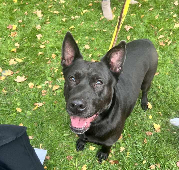 Photo of Millie