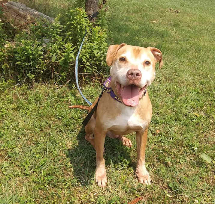 Photo of Coney