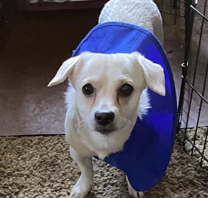 Photo of Flash