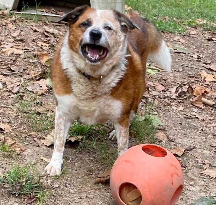 Photo of Reecie