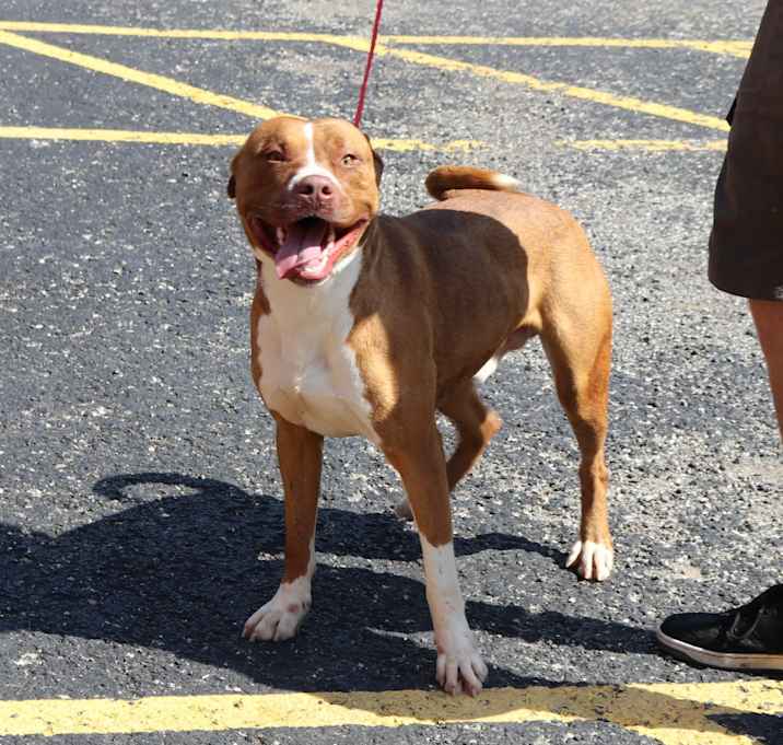 Photo of Dwayne