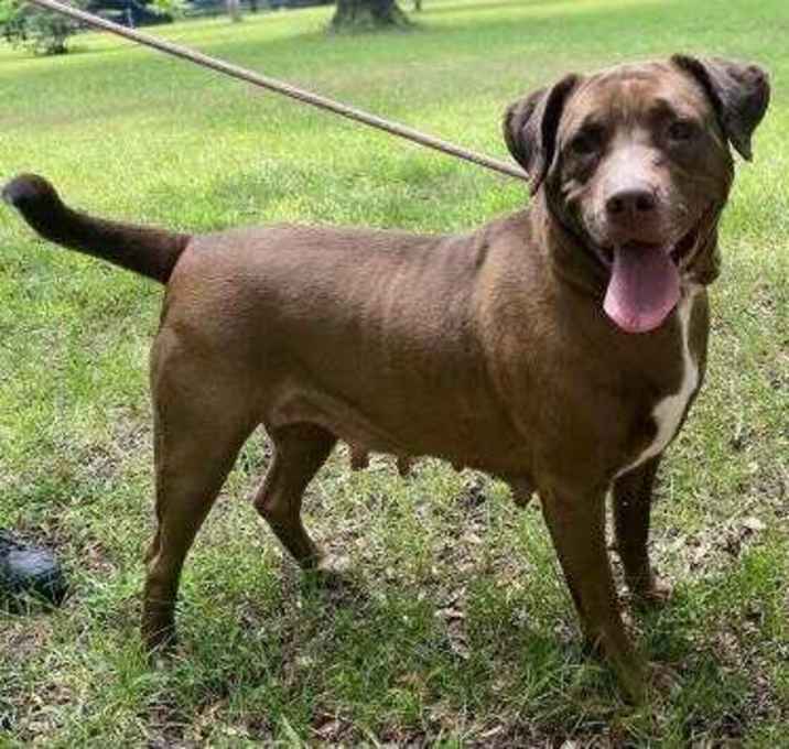 Photo of Mocha