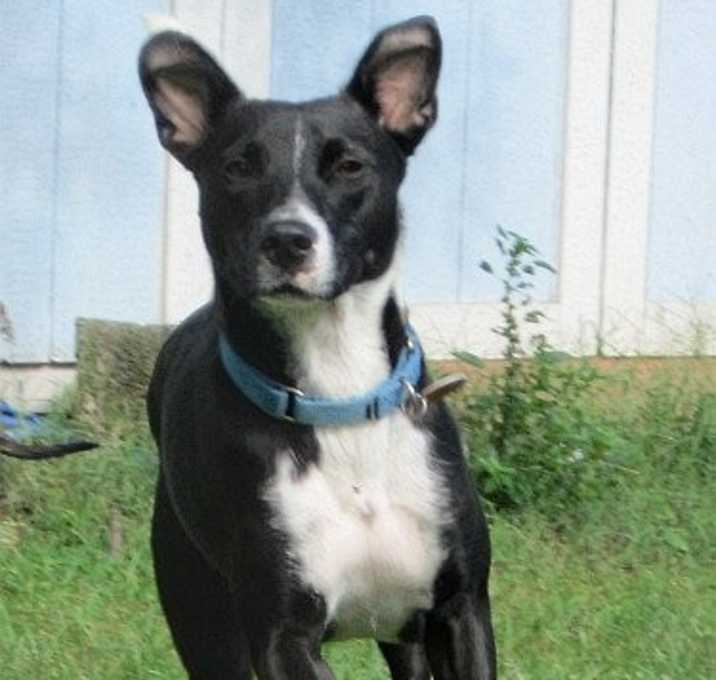 Photo of Starla