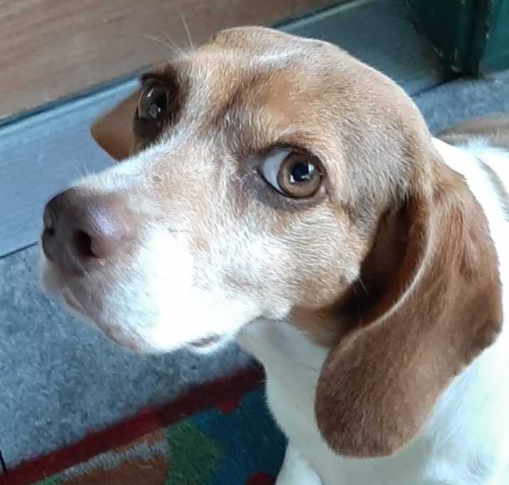 Photo of Jessie