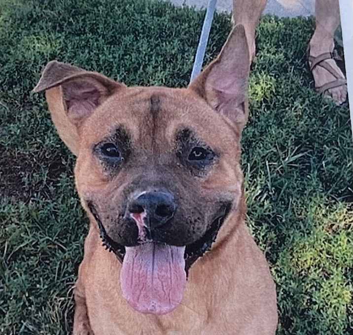 Photo of Titus