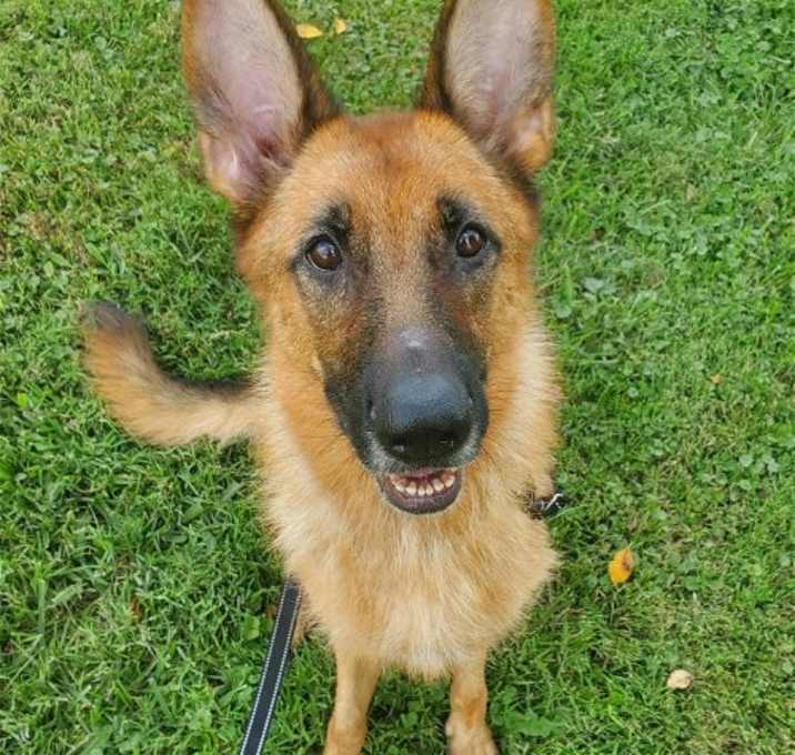 Photo of Layla
