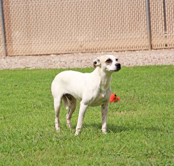 Photo of Zedra