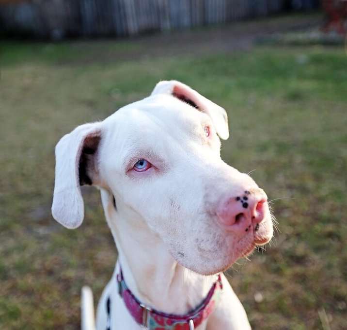 Photo of Xena