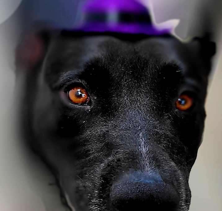Photo of Hope