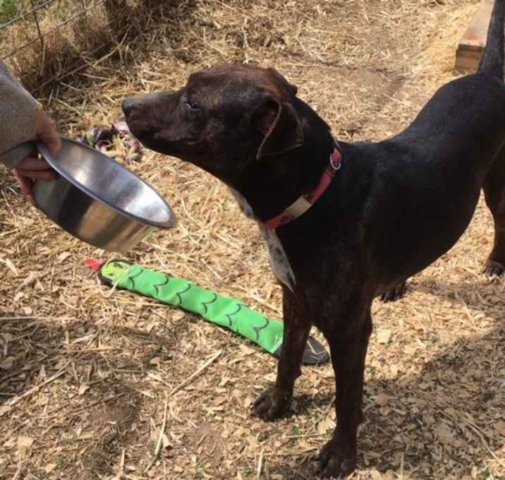 Photo of Buster