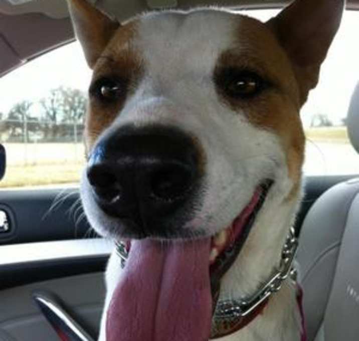 Photo of Casper