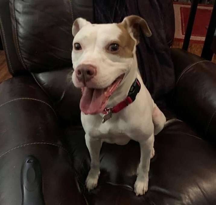 Photo of Patches