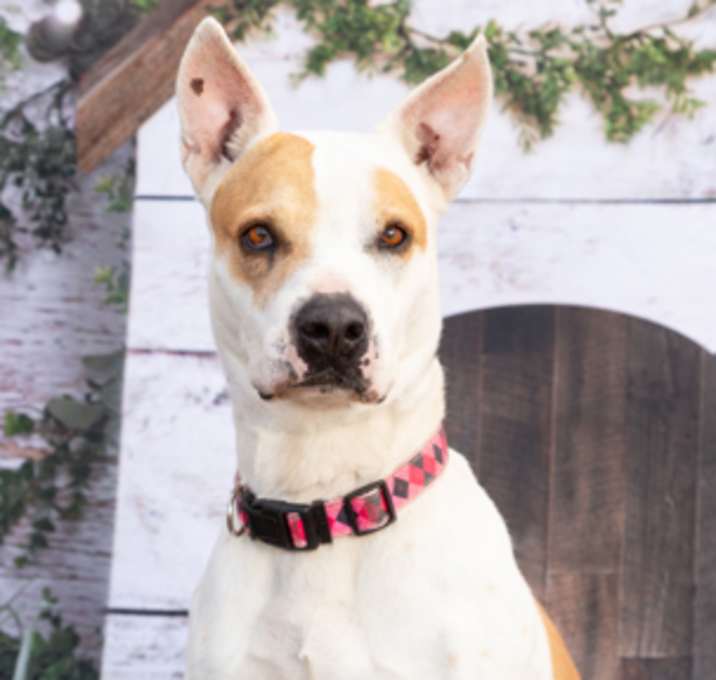 Photo of Ginny