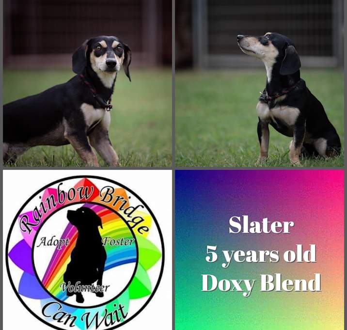 Photo of Slater