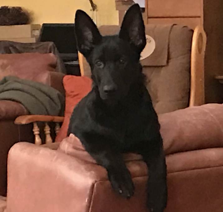Photo of Alec