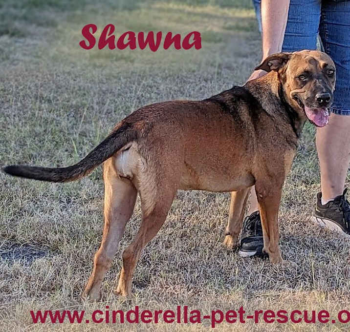 Photo of Shawna