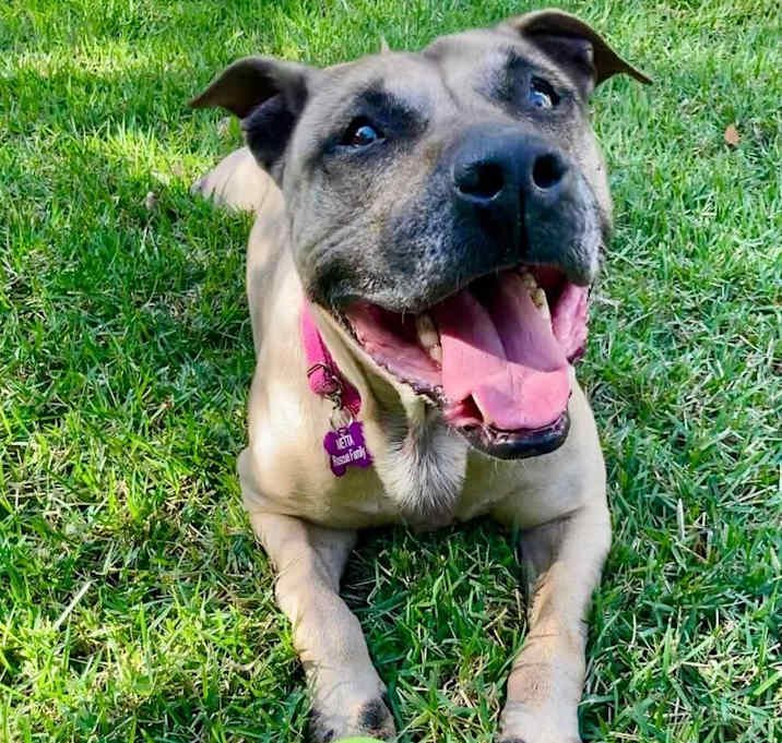 Photo of Hope