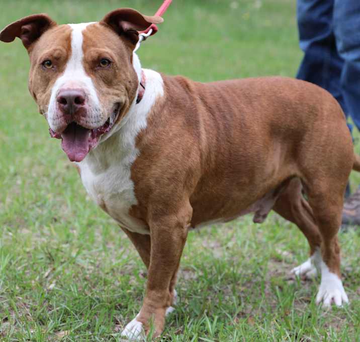 Photo of Ralphie