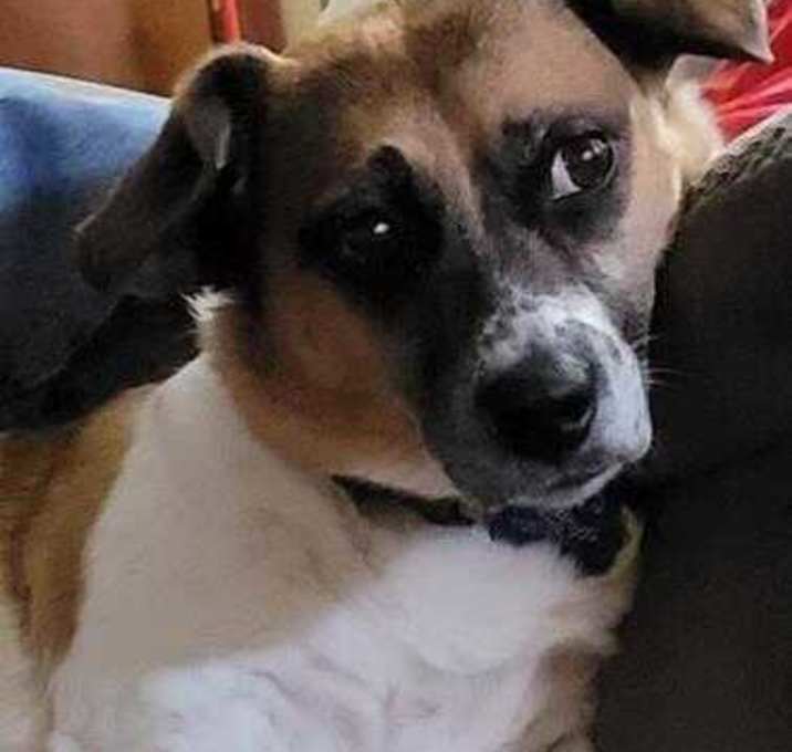 Photo of Scotty