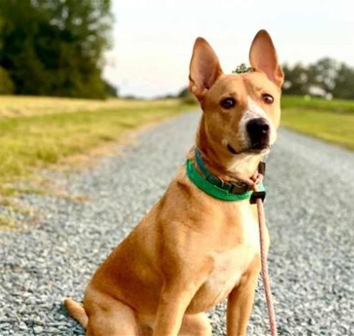Photo of Peter Pan