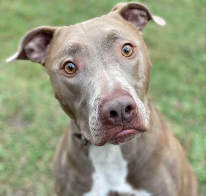Photo of Hunter