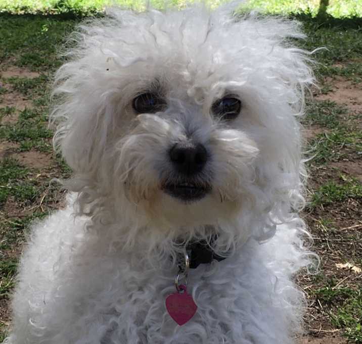 Photo of Elle