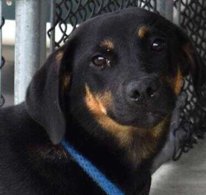 Photo of Maggie