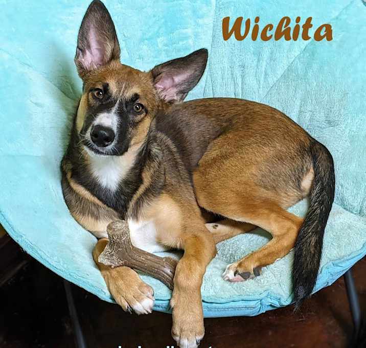 Photo of Wichita