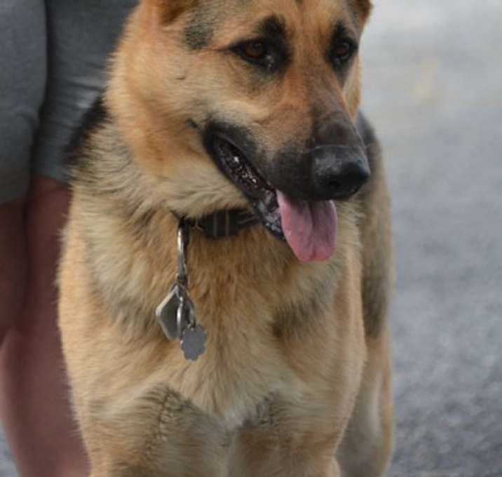 Photo of Luna Mia