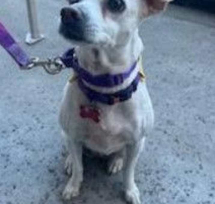 Photo of Jillie