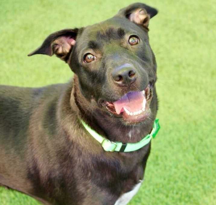 Photo of Haddie
