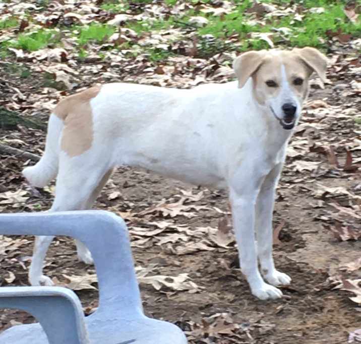 Photo of Delilah