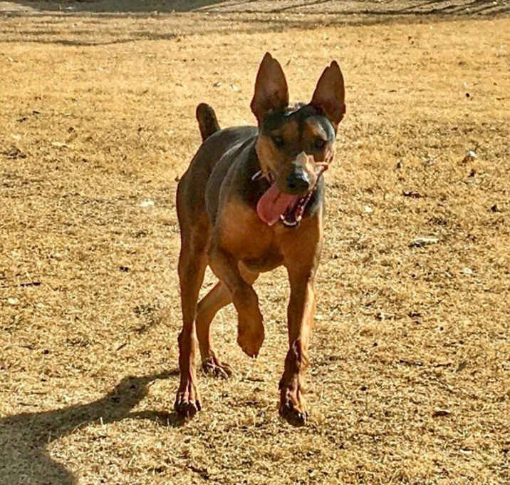 Photo of Titus