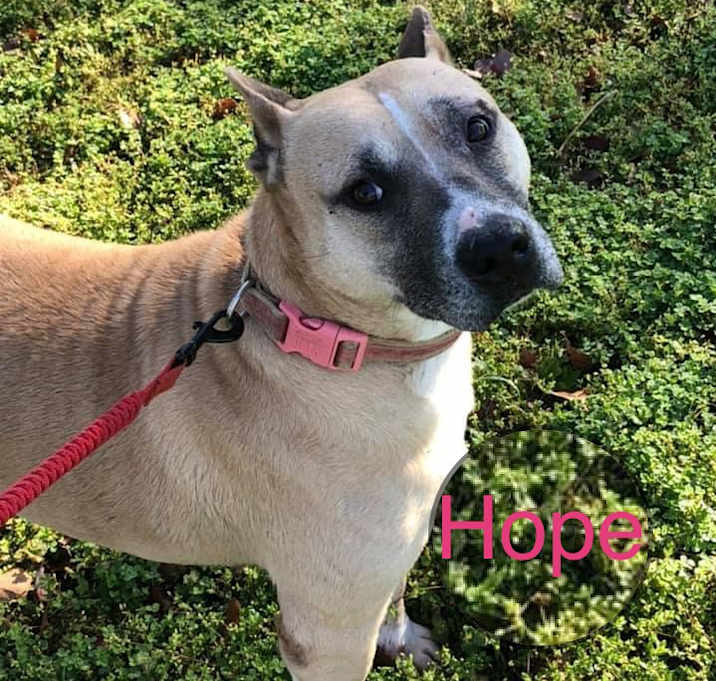 Photo of Hope