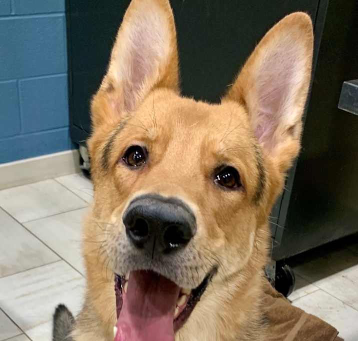 Photo of Buddy