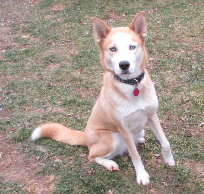 Photo of Molly
