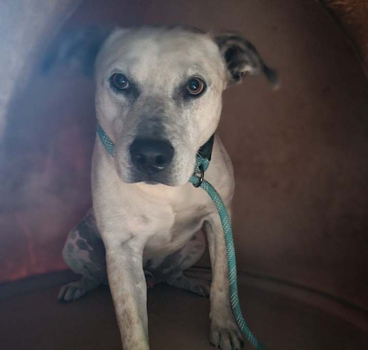 Photo of Ghost