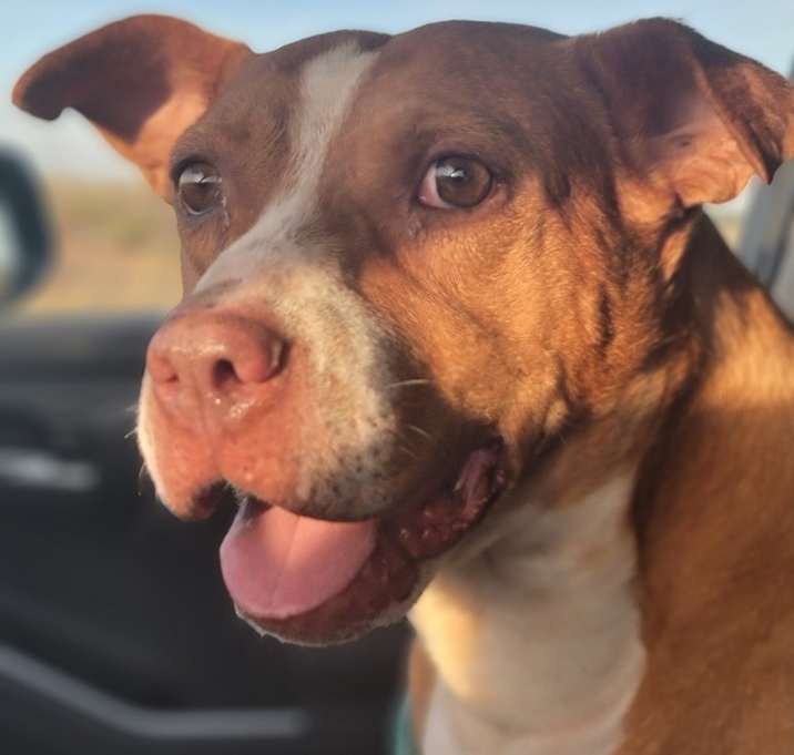 Photo of Jilly