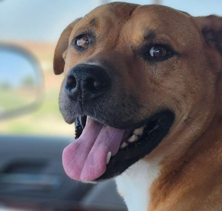 Photo of Axel