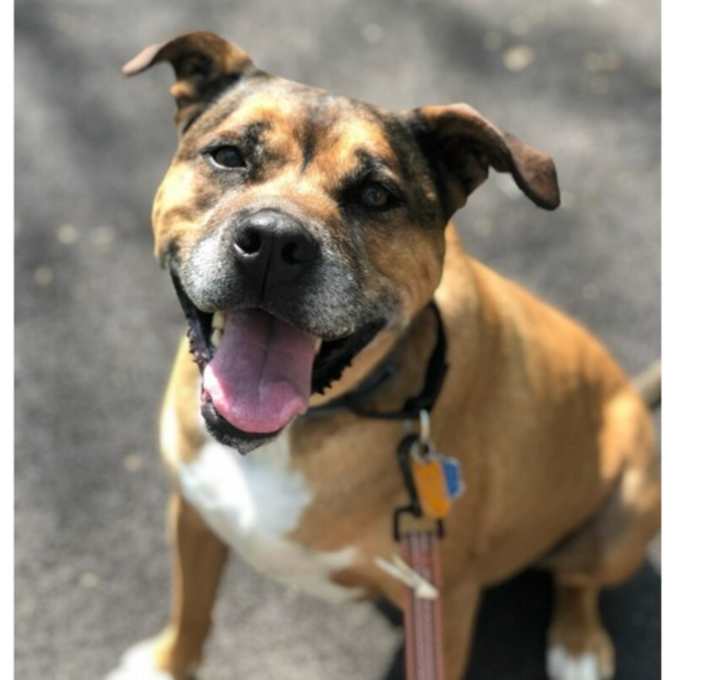 Photo of Tyson