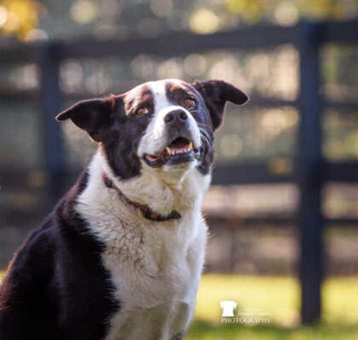 Photo of Porter