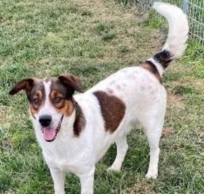 Photo of Champ