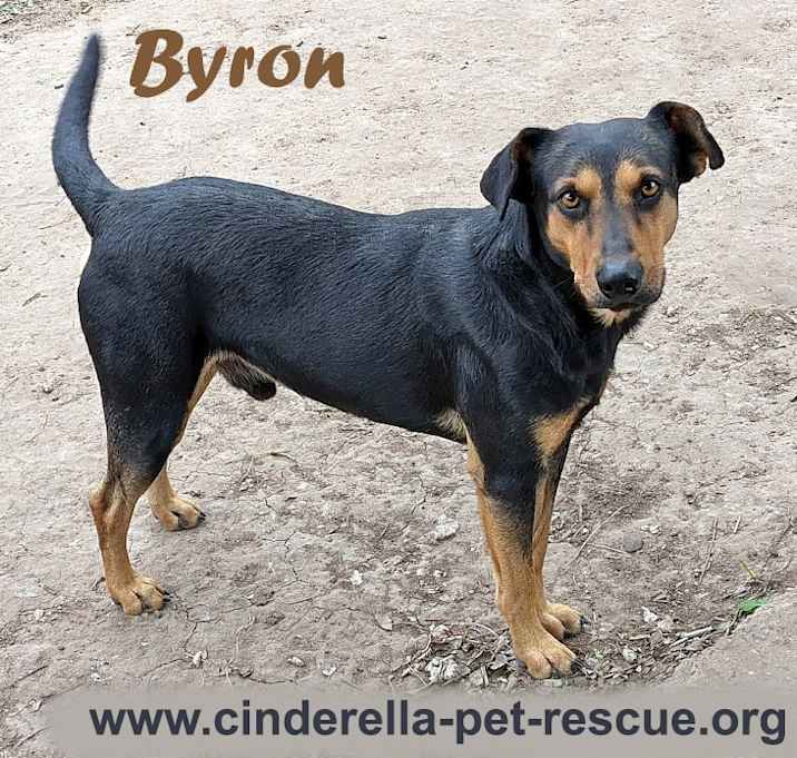 Photo of Byron