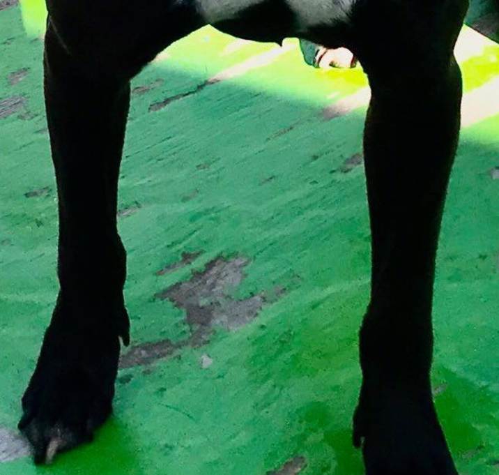 Photo of BRI/DARBY