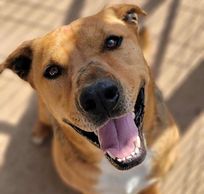 Photo of Charlie
