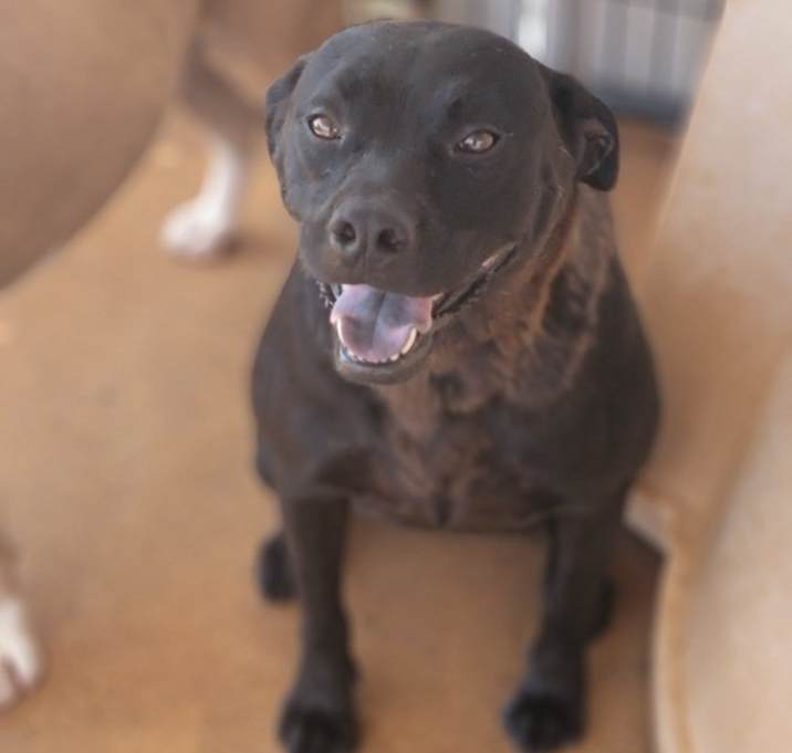 Photo of Laila